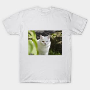 white cat T-Shirt